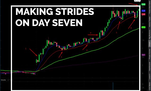 CODX CODX and MORE CODX Day Seven