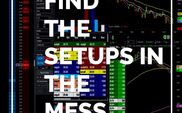 Looking at the Big Picture