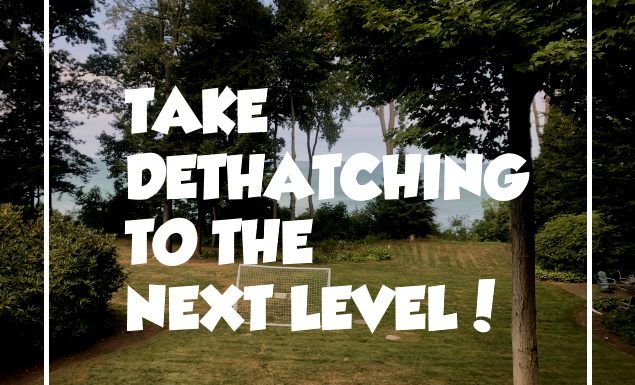 Dethatch or Not Dethatch