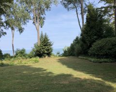 Looking South to North During Dethatch Process