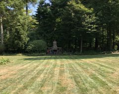 Looking West to East After Dethatch Cleanup