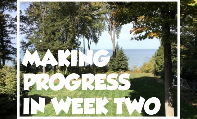 Lawn Renovation Update – 2 Weeks After OverSeeding