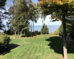 Two Weeks after Aeration – Freshly Cut Four