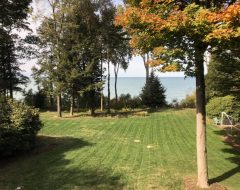 Two Weeks after Aeration – Freshly Cut One