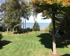 Two Weeks after Aeration – Freshly Cut Three