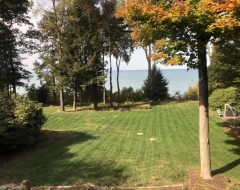 Two Weeks after Aeration – Freshly Cut Two